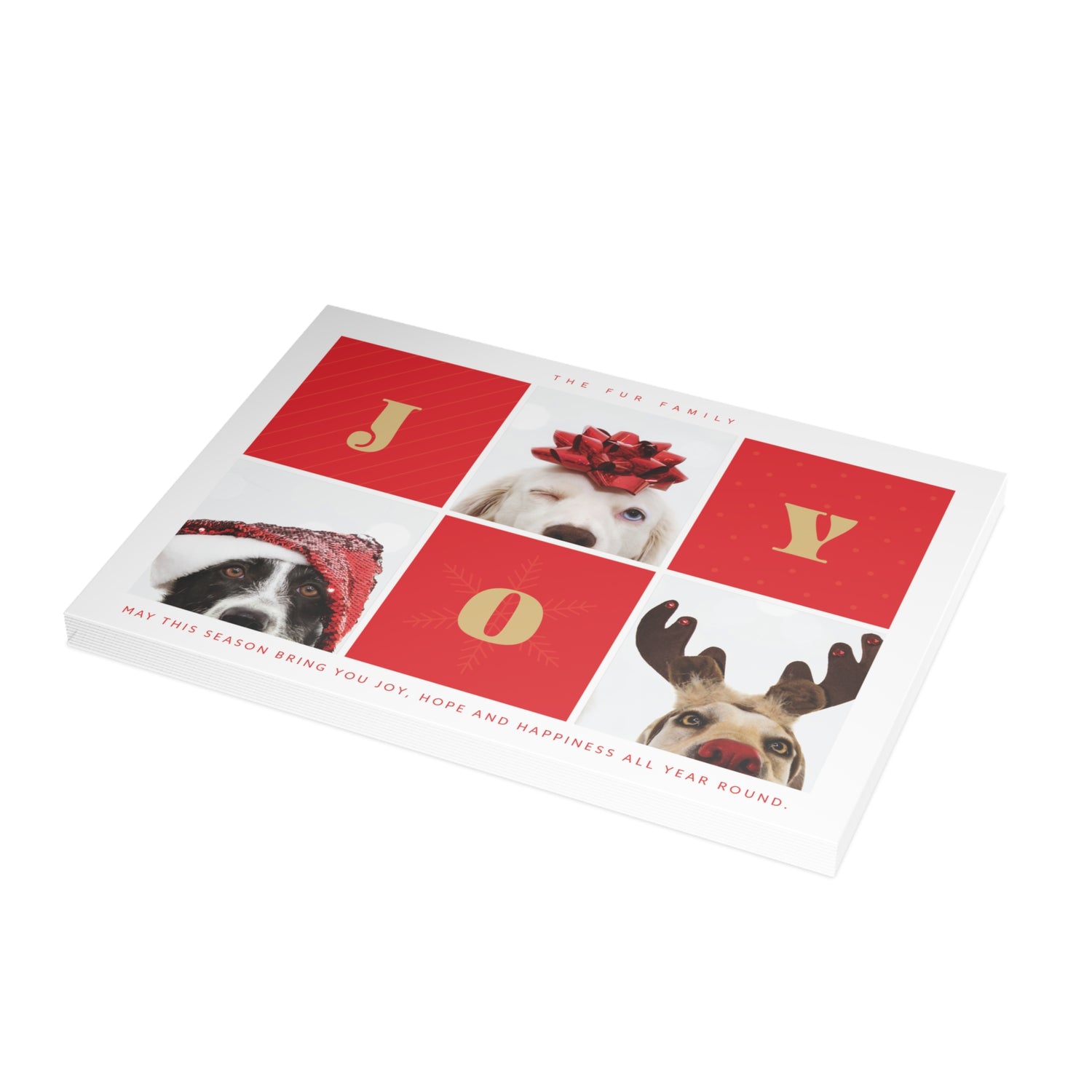 "Joy" Picture Holiday Card - Haus of Wrap