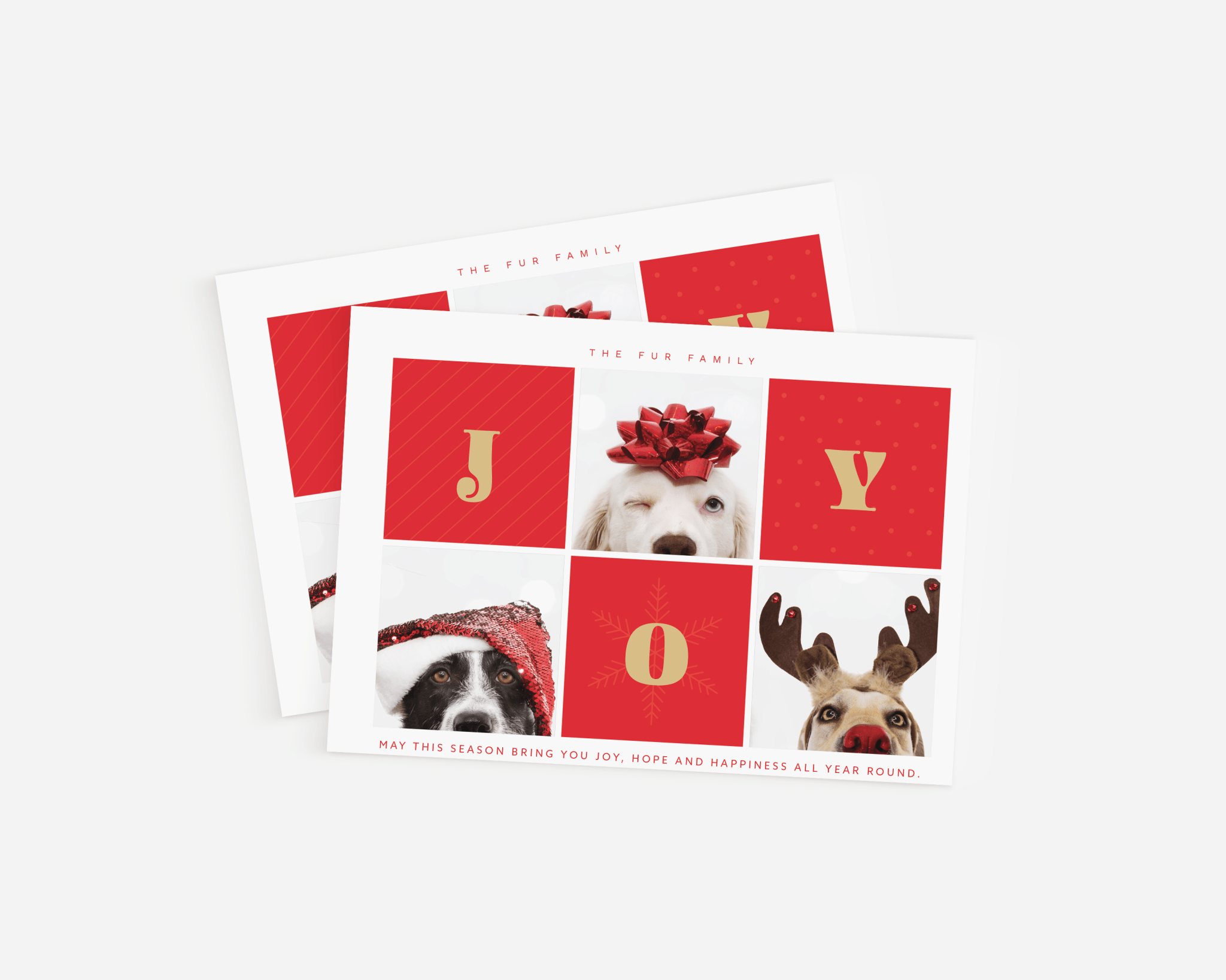 "Joy" Picture Holiday Card - Haus of Wrap