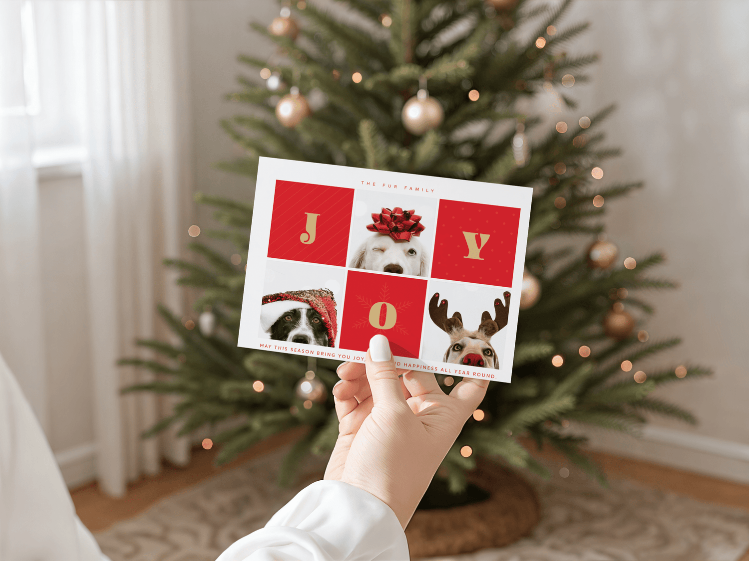 "Joy" Picture Holiday Card - Haus of Wrap