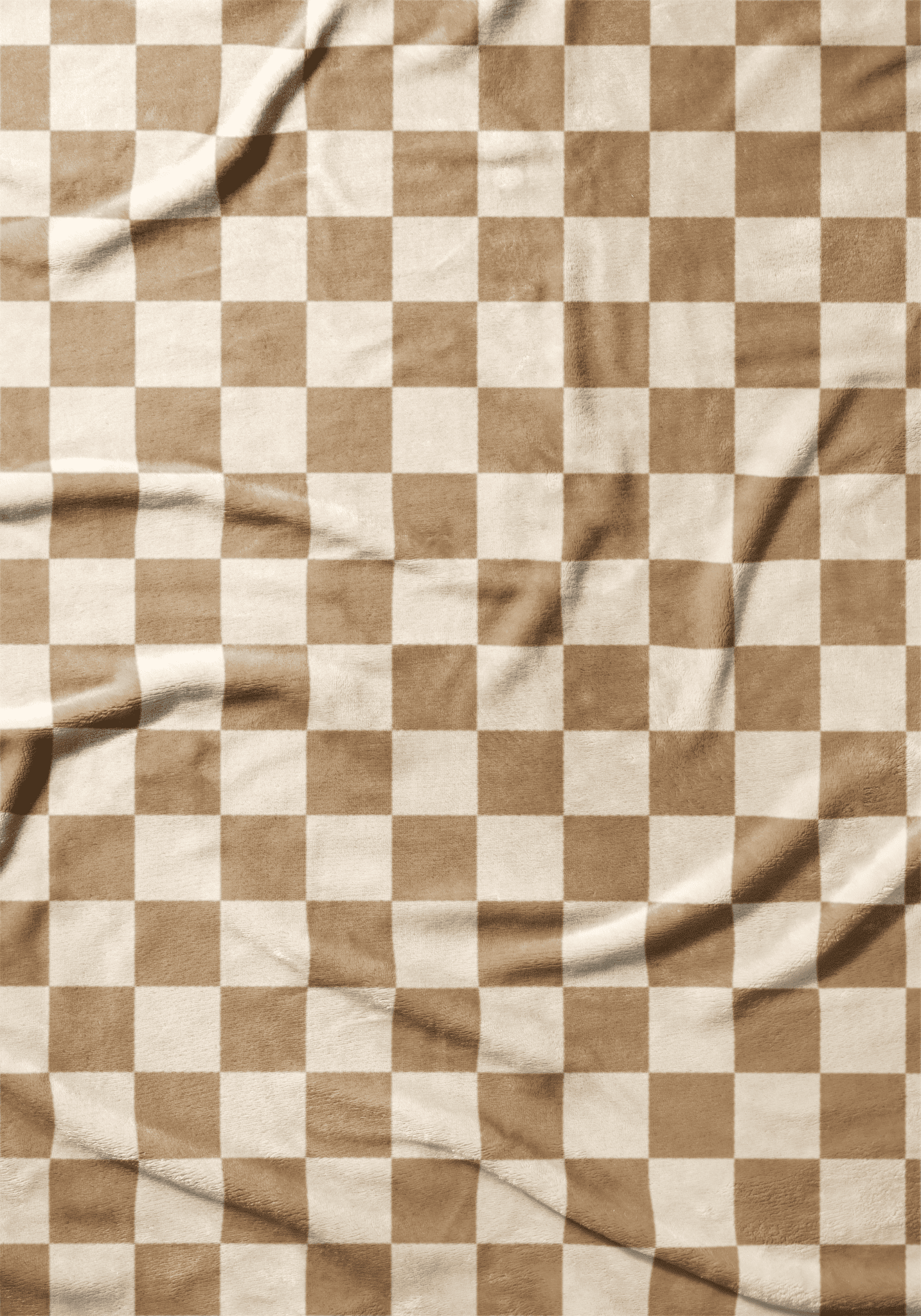 Toasted Check - Haus of Wrap