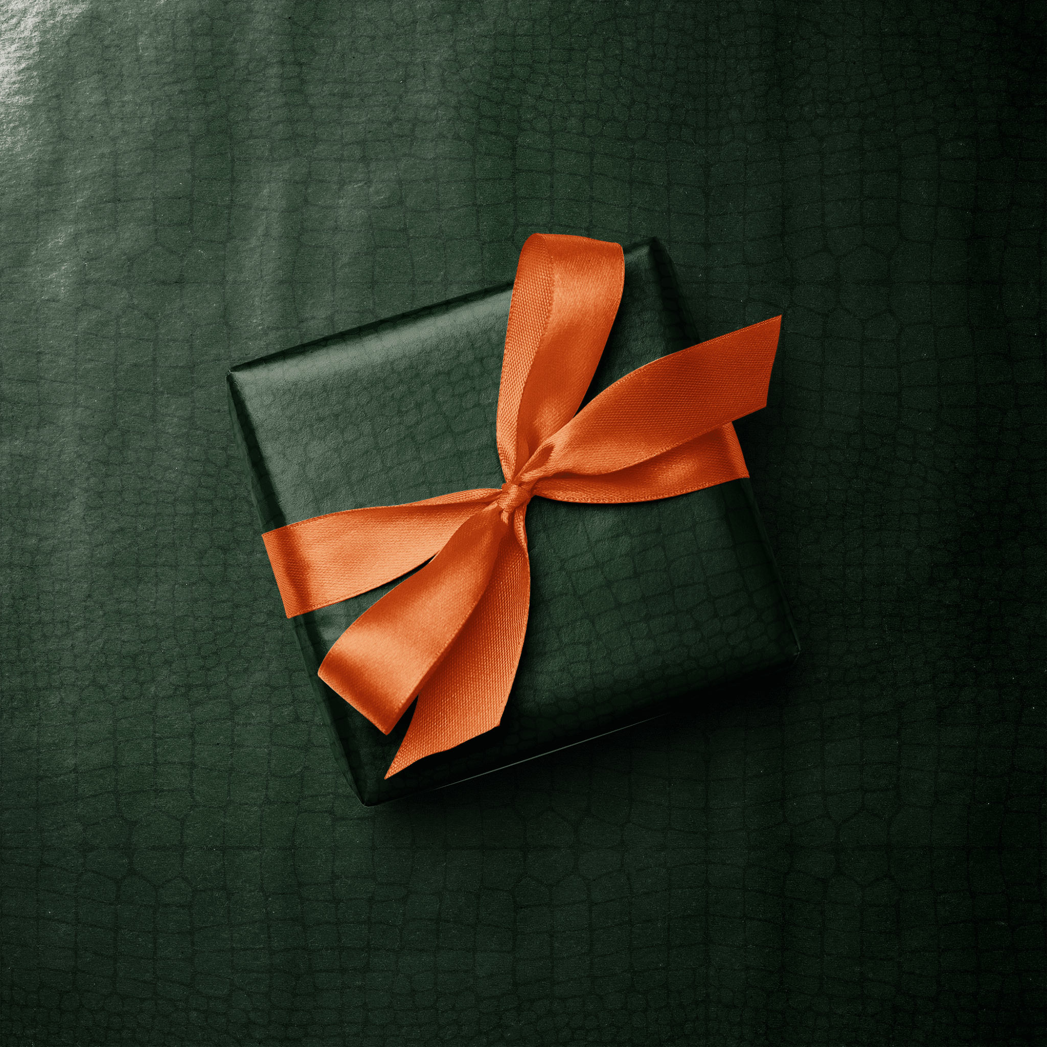focus_keyword - Croc & Carry - Haus of Wrap