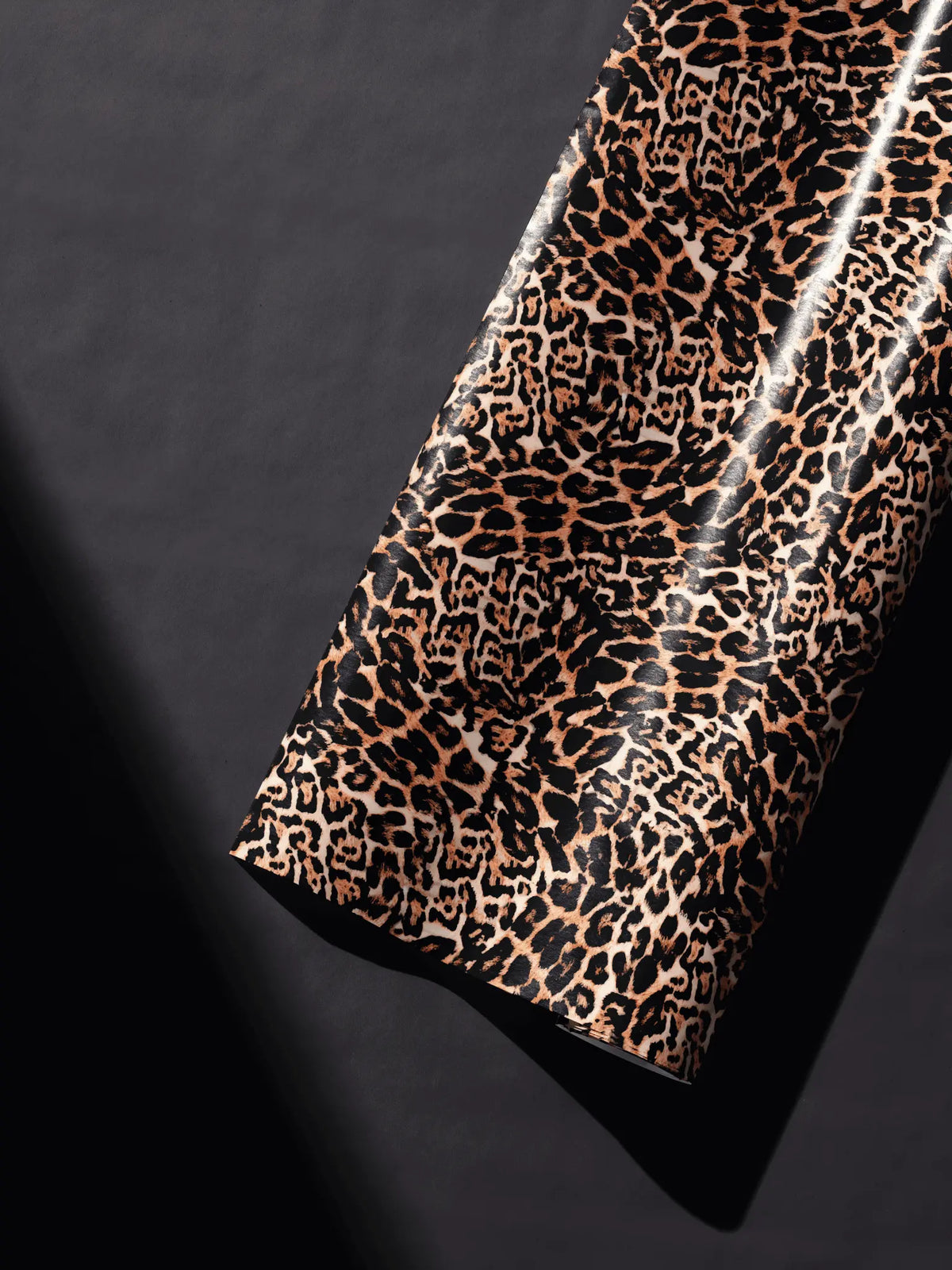focus_keyword - Wild Notion - Haus of Wrap