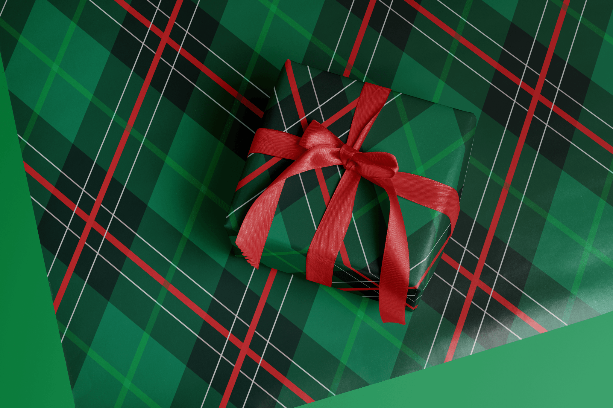 Forest Steward - Haus of Wrap