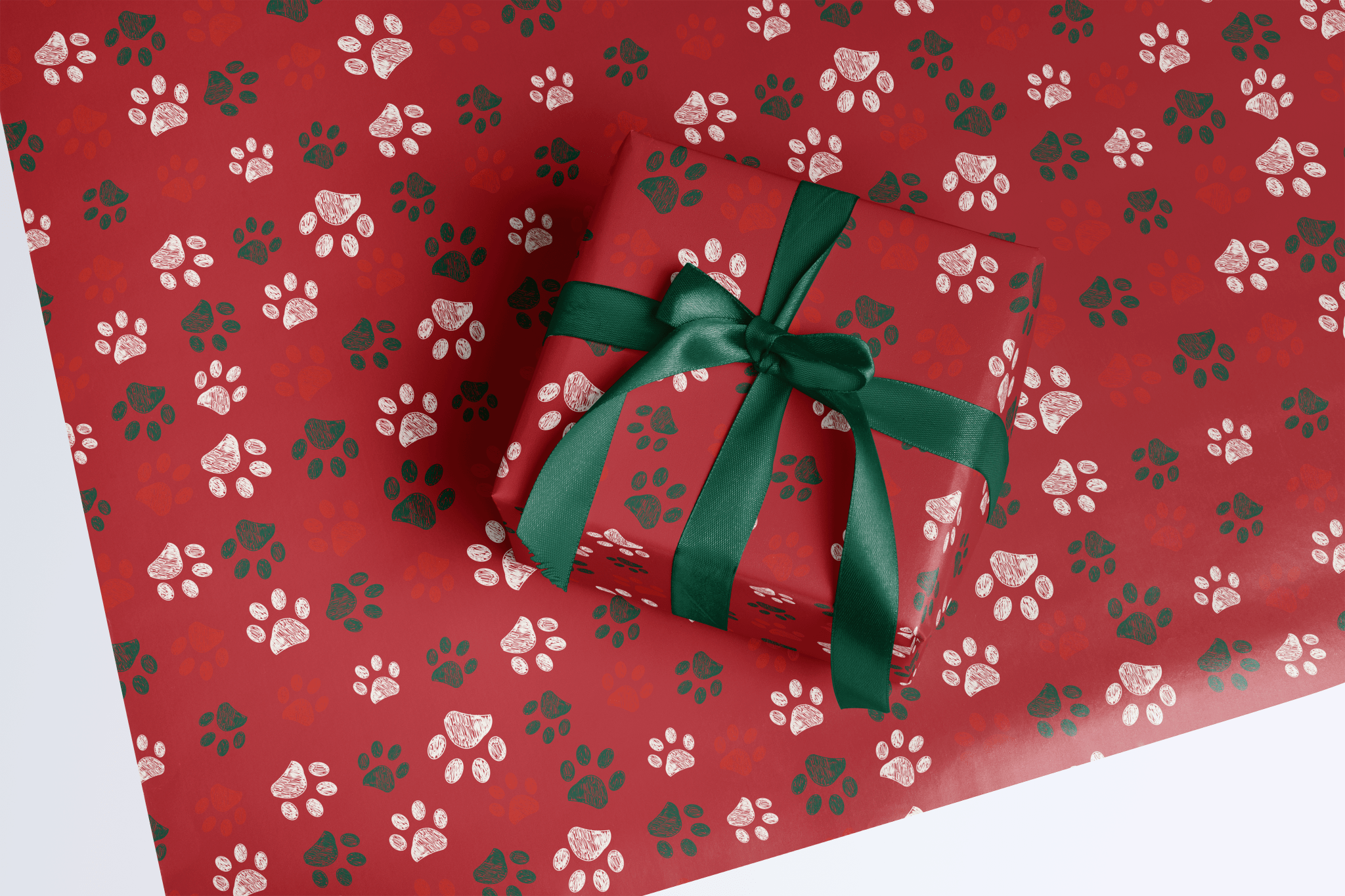 Cozy Paws - Haus of Wrap