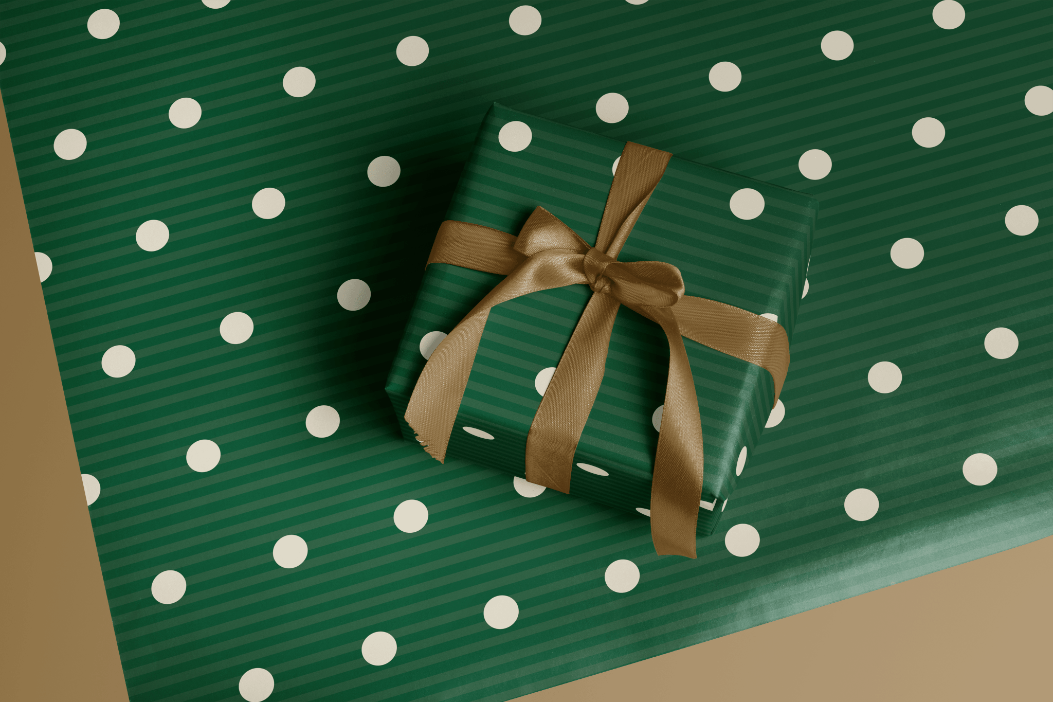 Holly Dot - Haus of Wrap