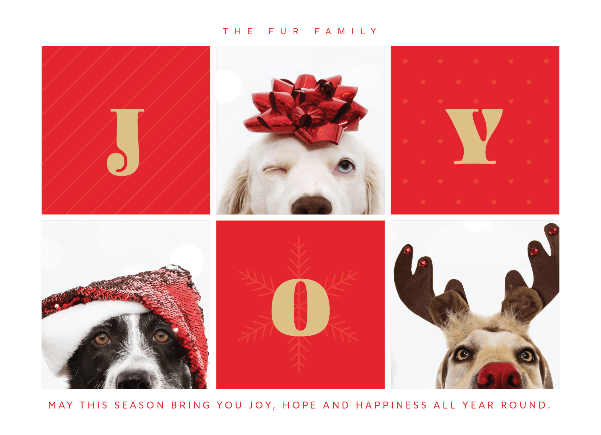 &quot;Joy&quot; Picture Holiday Card - Haus of Wrap