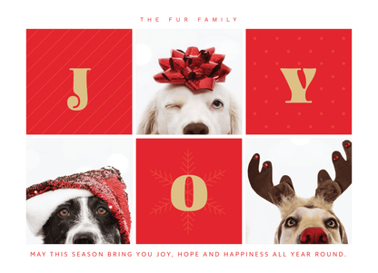 &quot;Joy&quot; Picture Holiday Card - Haus of Wrap