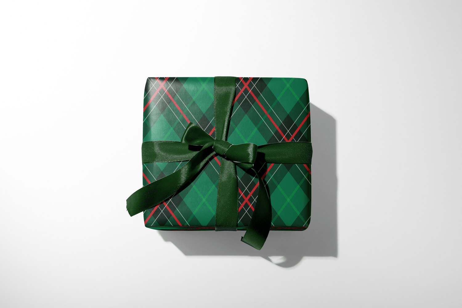 Forest Steward - Haus of Wrap