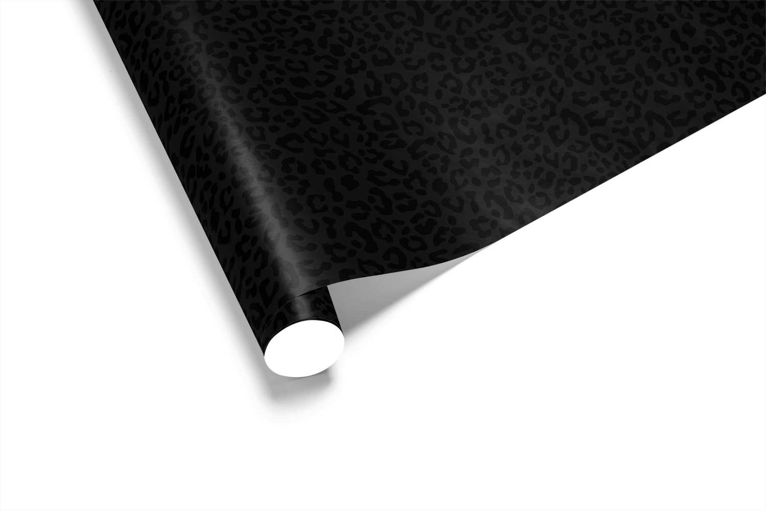 focus_keyword - Noir Wild - Haus of Wrap