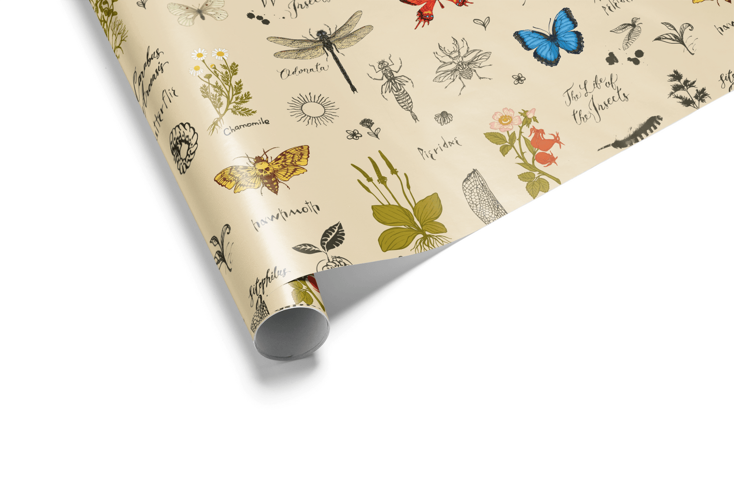 Nature Wrapping Paper The Naturalist Haus of Wrap