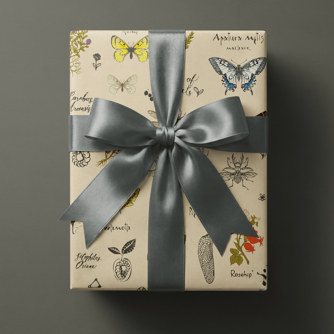 Nature Wrapping Paper The Naturalist Haus of Wrap