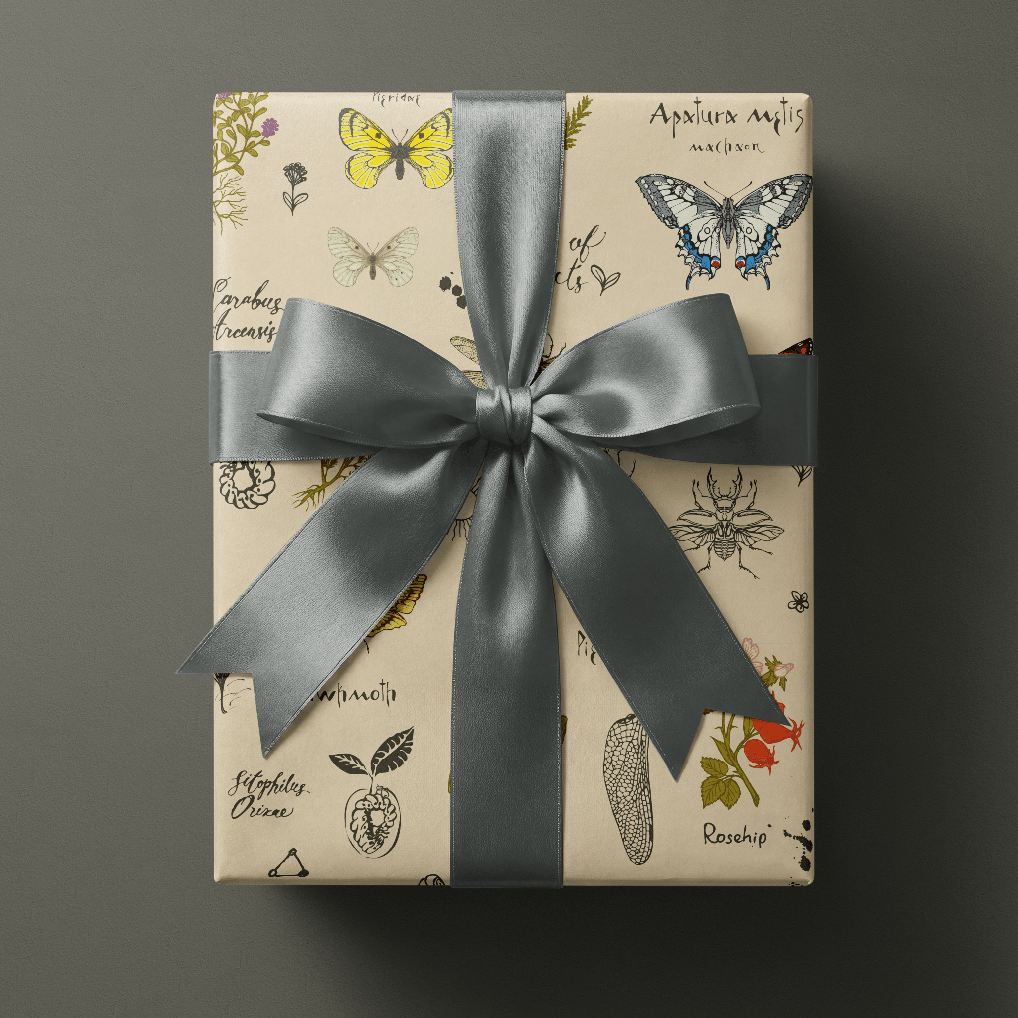 Nature Wrapping Paper The Naturalist Haus of Wrap