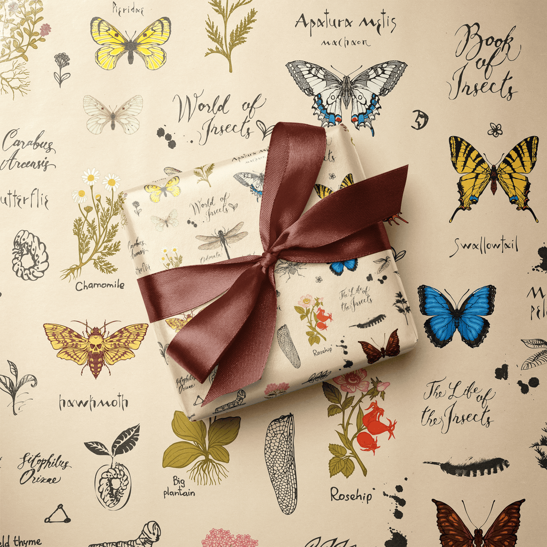 Nature Wrapping Paper The Naturalist Haus of Wrap