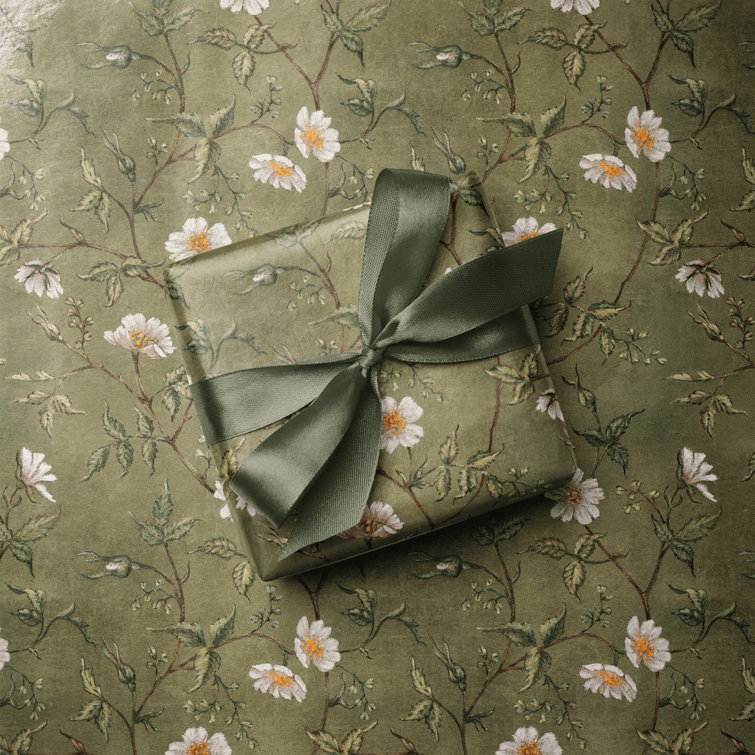 focus_keyword - The Olive Branch - Haus of Wrap