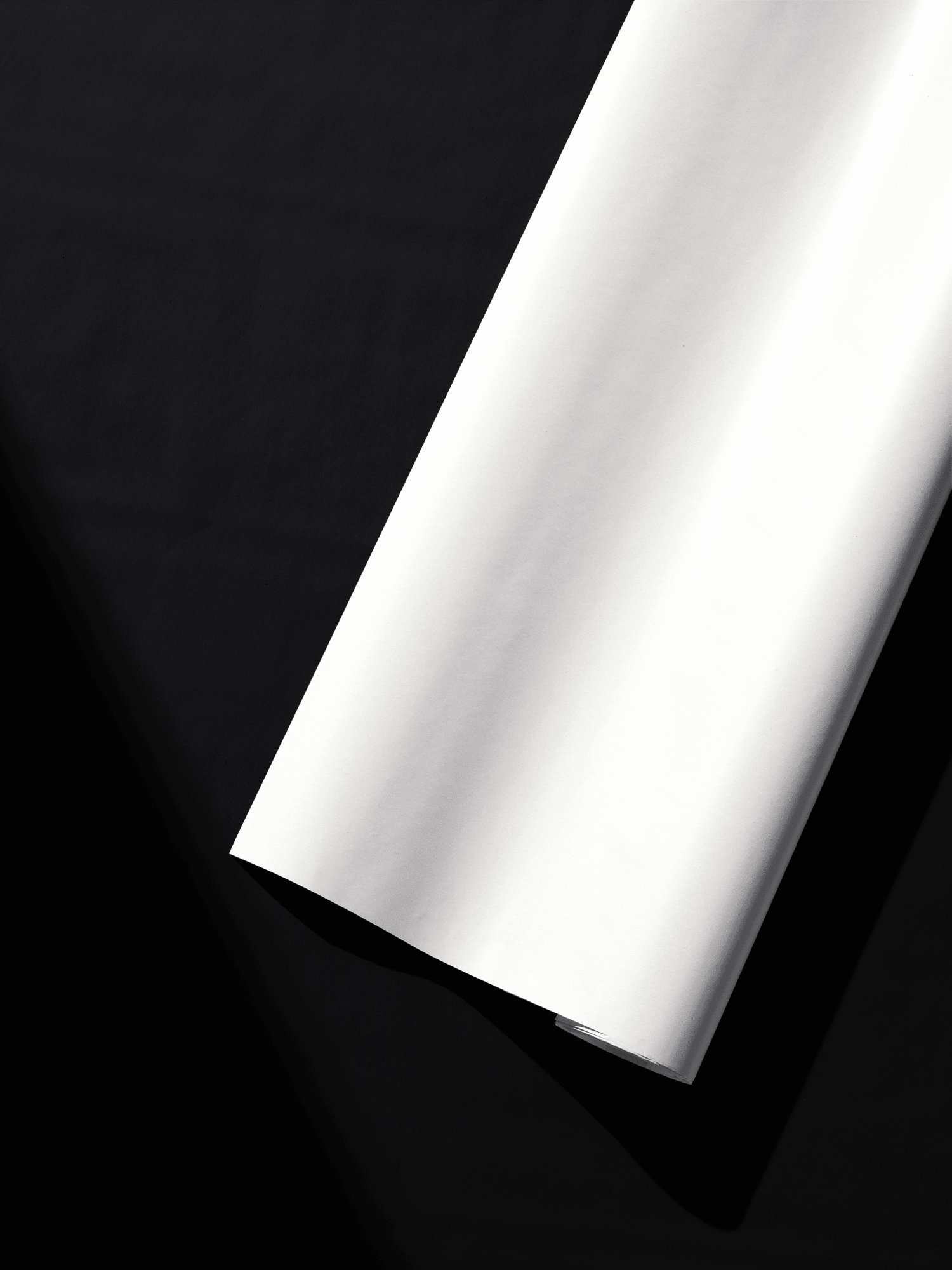 focus_keyword - Blanc - Haus of Wrap